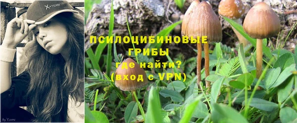 МДМА Пролетарск