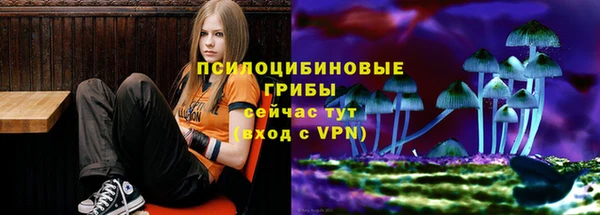 винт Приозерск