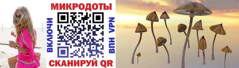 Псилоцибиновые грибы прущие грибы  купить закладку  Болохово 